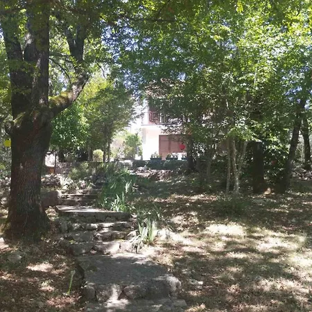 Apartmán Kora *